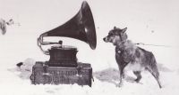 Dog and gramaphone